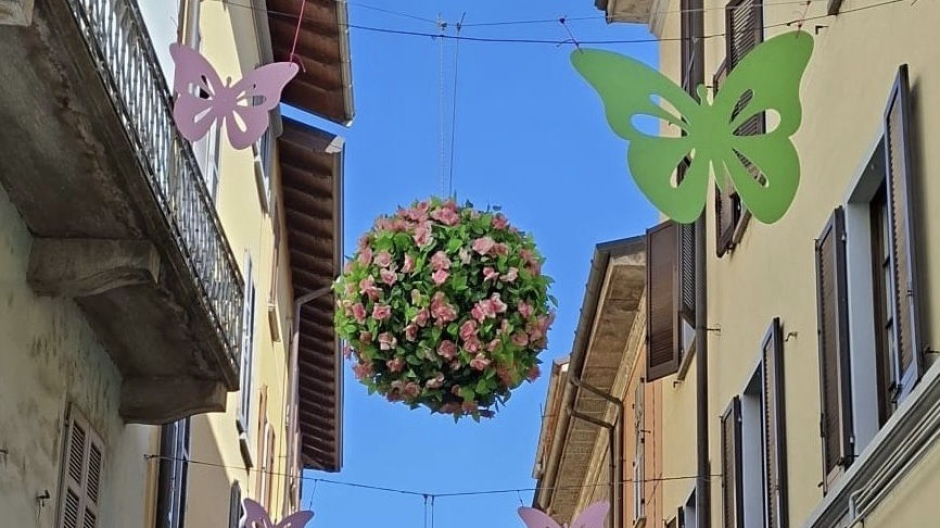 Arona, collocate installazioni floreali e luminose 